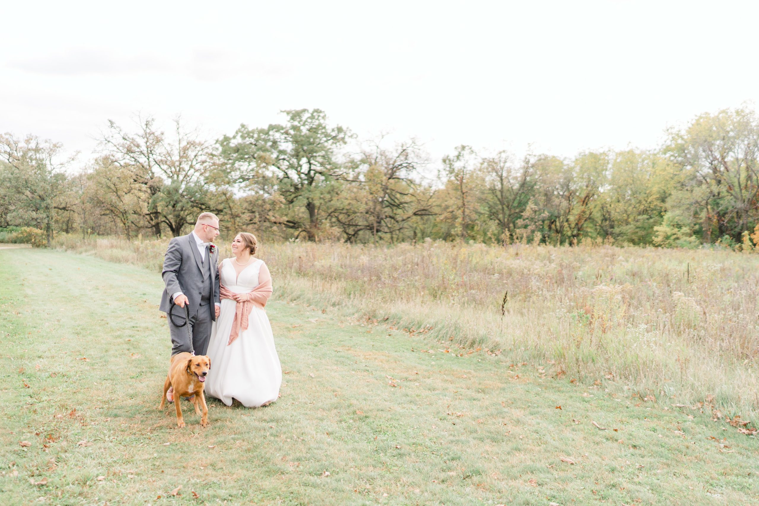 Bride and groom with dog in field Northfield Wedding Portraits
