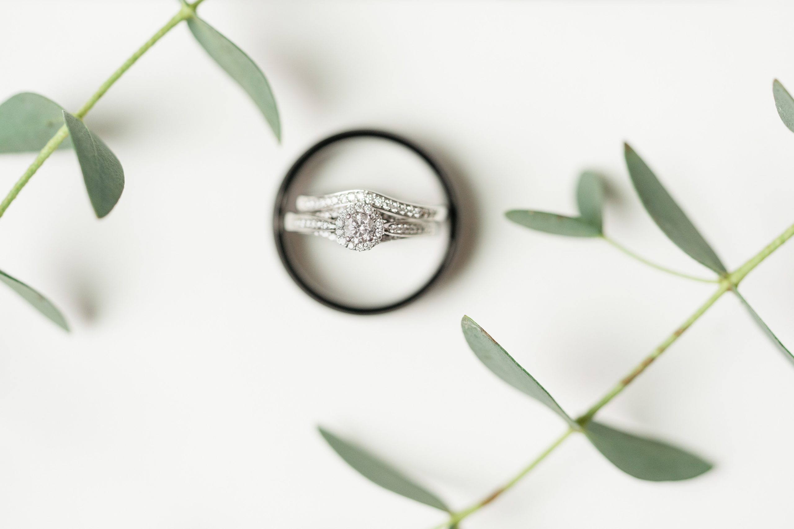 Best Wedding Photographer Minnesota Bride & Groom Rings