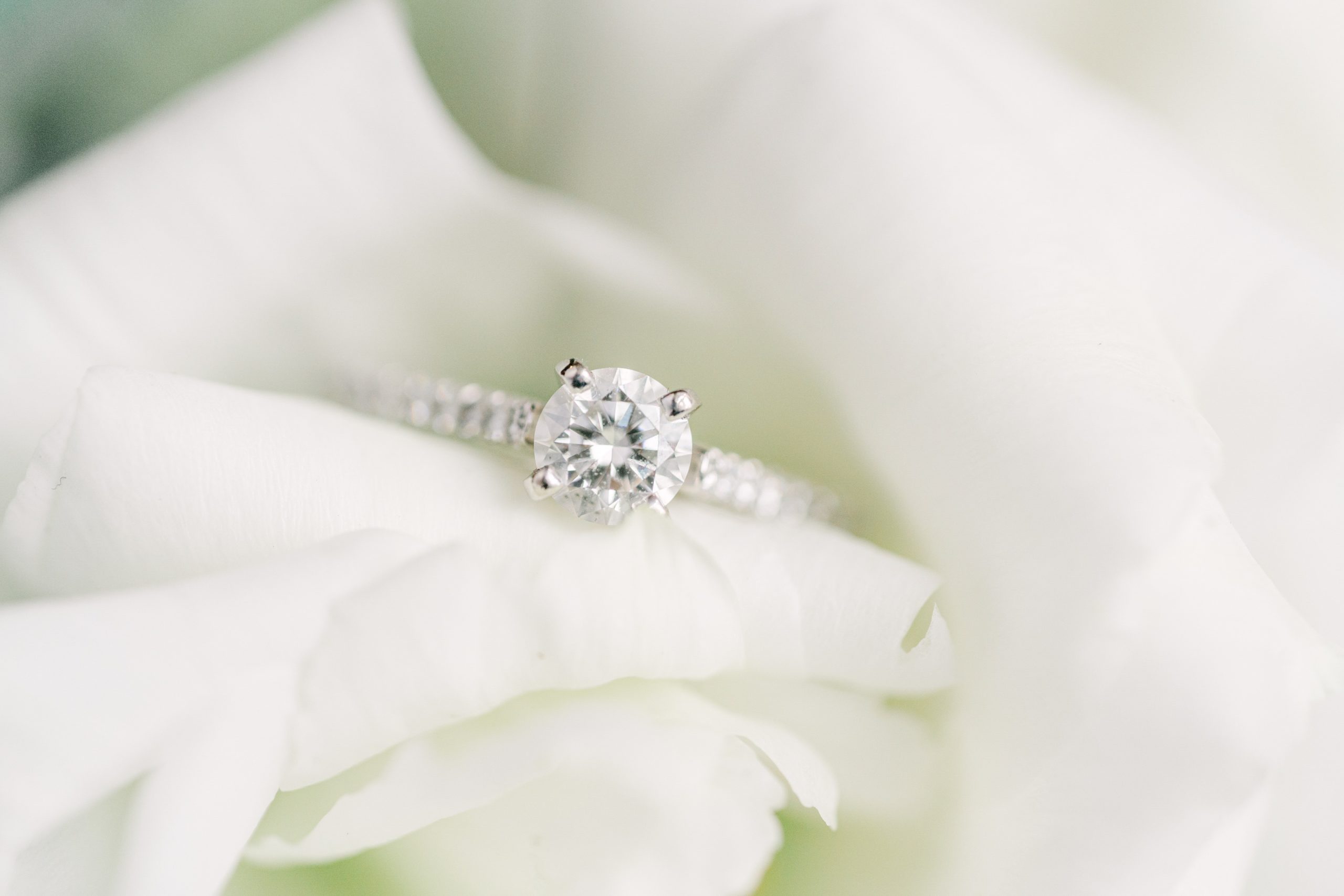 Best Wedding Photographer Minnesota Engagement Ring