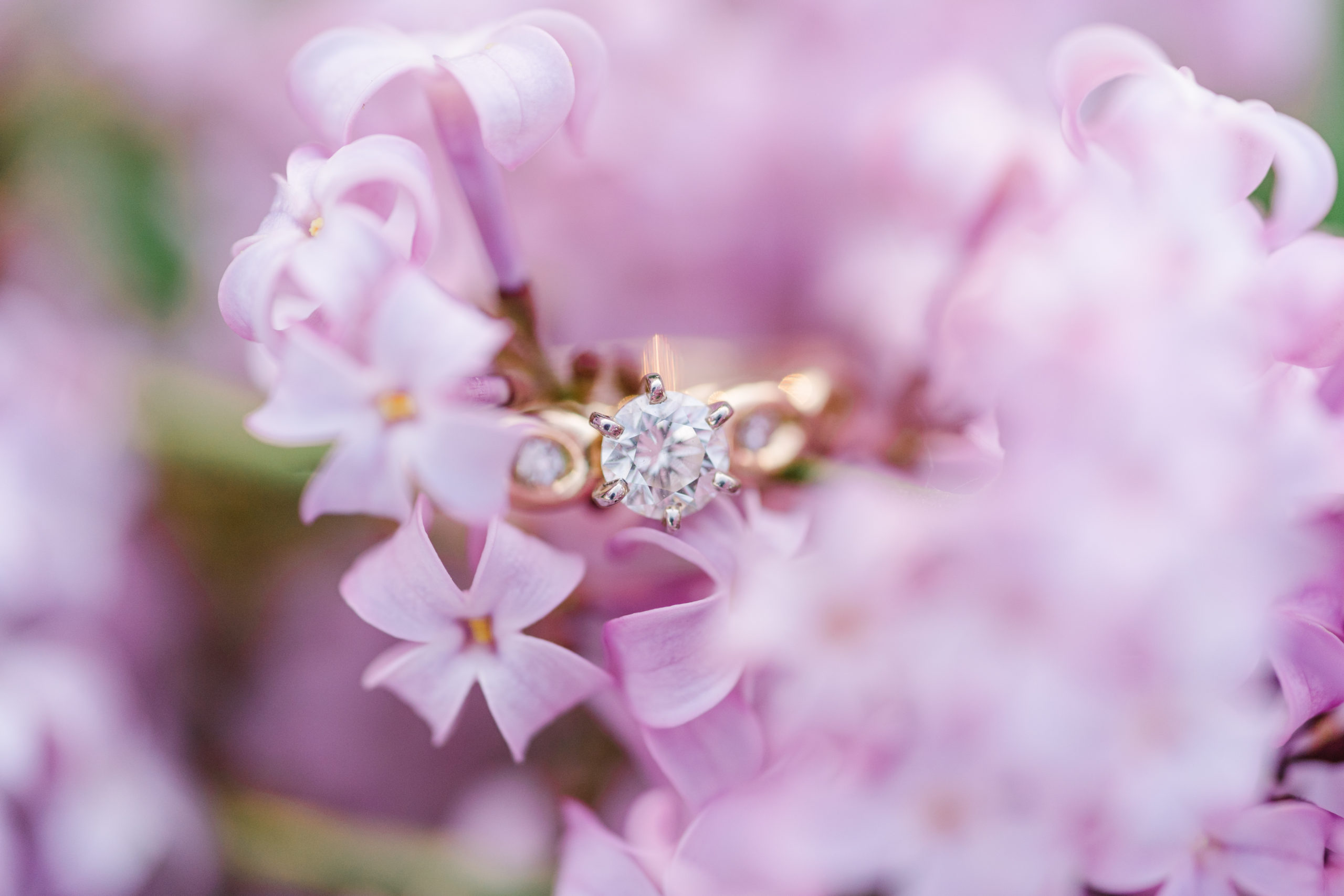 Engagement-ring-in-lilacs