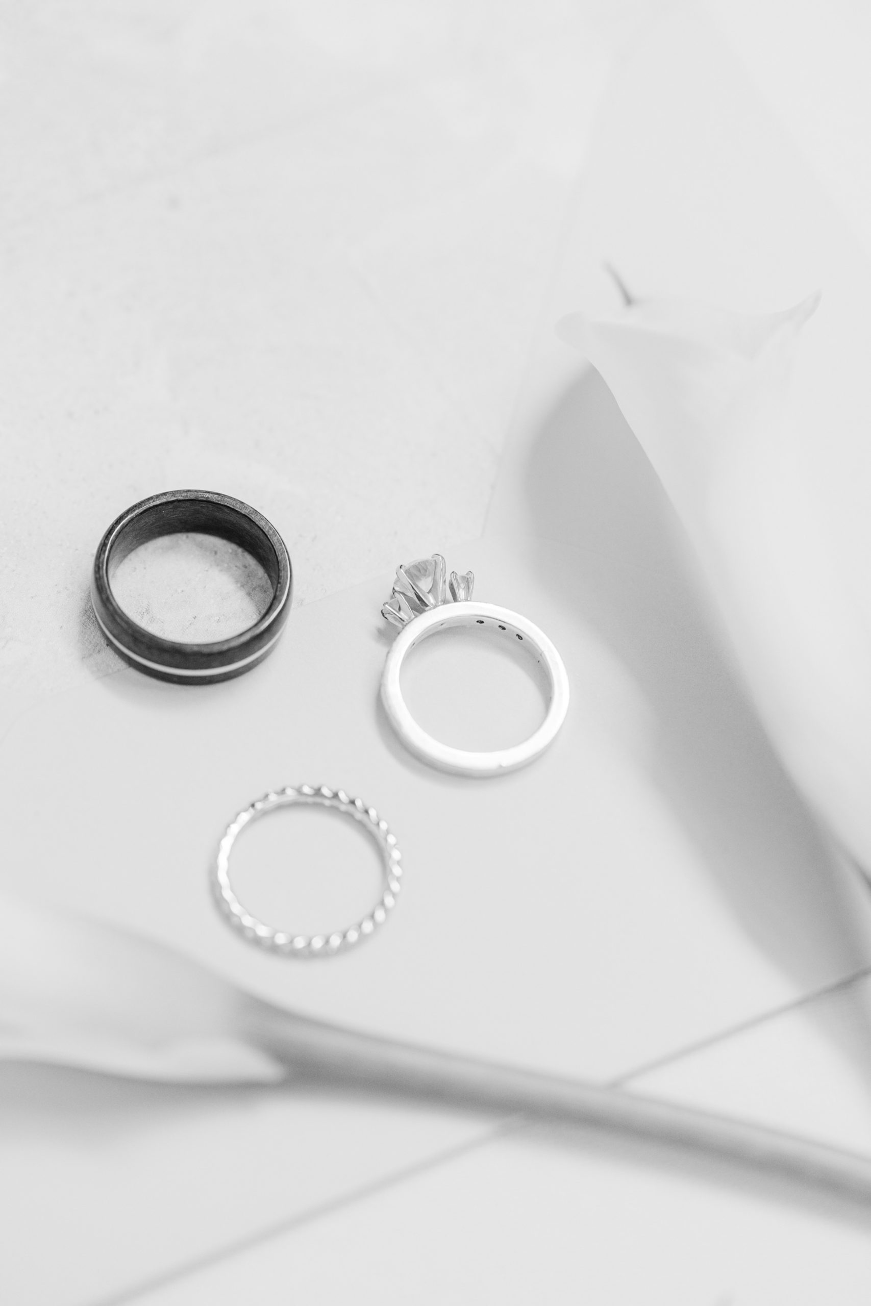 Faribault Wedding Ring Details